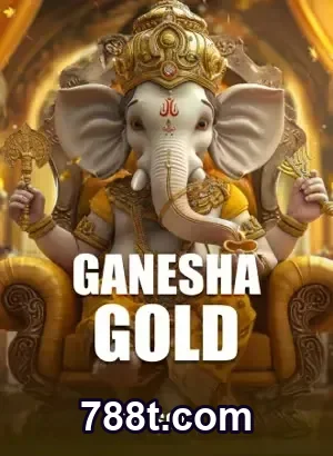 Jogador experimentando benefícios VIP na 788t.com